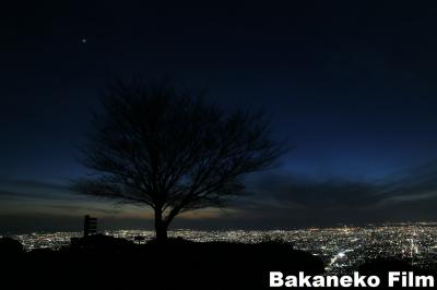 絶景　秘境　最高の夜景　大阪　生駒より見る大阪平野