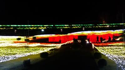 鳥取市 夜景 に関する旅行記 ブログ フォートラベル 鳥取県