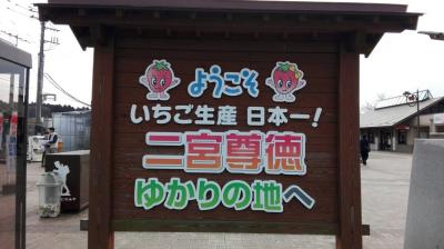 栃木真岡市　甘いいちごに誘われて