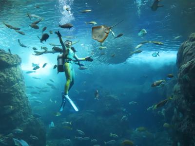旅する乳幼児~新江ノ島水族館で楽しむ~