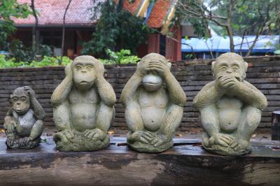 ﾀｲ国際航空ﾋﾞｼﾞﾈｽでﾁｪﾝﾏｲ　　チェンダオ洞窟へ