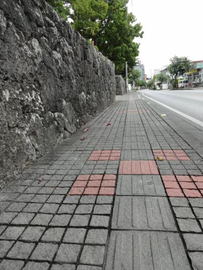 八重山ひとり旅 ｰ 天気がイマイチでも楽しめる？どんぐもり街歩き編 ｰ