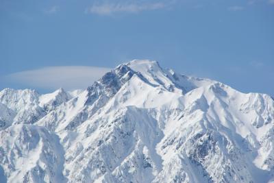 今までで一番の白馬