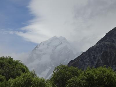 初夏の花々がお出迎え~2017年始初のニュージーランド旅⑥