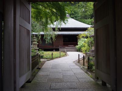 夏の鎌倉一泊二日の旅!Part1