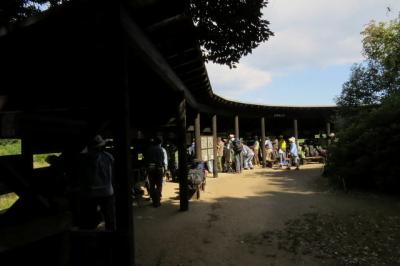 東京港野鳥公園でバードウォッチング [2015](1)