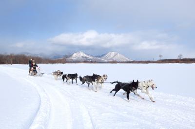 盛りだくさんの観光メニューで真冬の北海道を満喫！