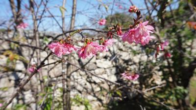 旅行は2度目が楽しい！6年ぶりの沖縄旅行 その1