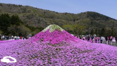 201604山梨富士五湖の旅　初日