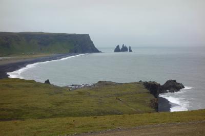 毎日が感動！火と氷の国、アイスランド6日間ドライブの旅　４日目：『滝と崖と氷山』②パフィンに会えた！