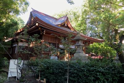 2015秋、名古屋総鎮守の若宮八幡社(2/2)：本殿、境内末社・石標、狛犬、石灯篭、鳥居