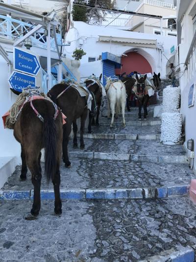 ギリシャ・サントリーニ編①