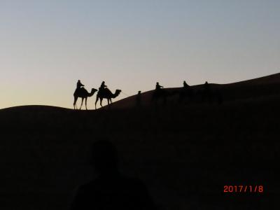 アフリカ　モロッコ　６泊８日（アルフード）