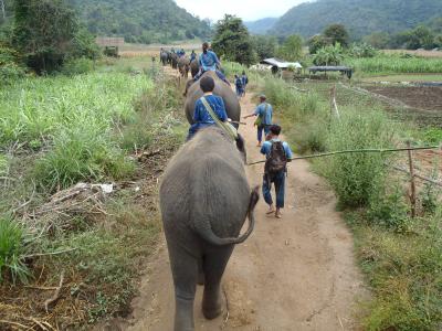 チェンマイでエコツーリズム(4) 象大好き！タイ・エレファント・ホームで象使いになる！