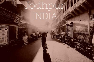 北インド攻略　家族旅行　No.5