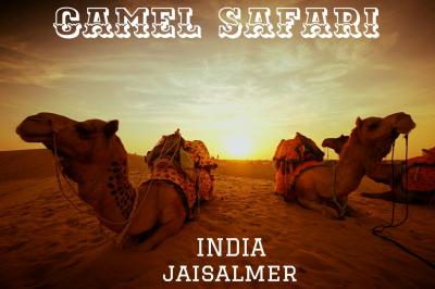 北インド攻略　家族旅行　No.7