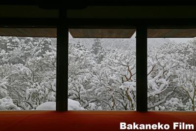 大雪の京都　高雄　高山寺　ワレ雪中ヲ行軍ス