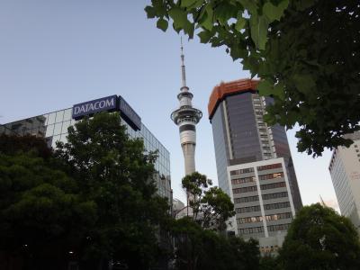 初夏の花々がお出迎え~2017年始初のニュージーランド旅⑦