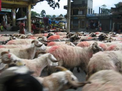 ネパールの記憶