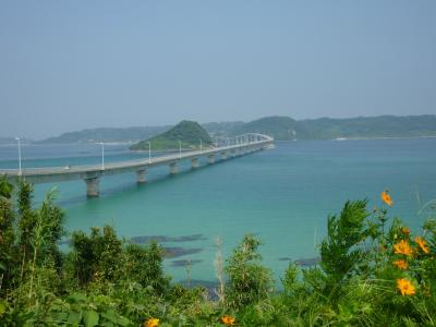 国内ツアー　初一人参加　山口・島根の旅　2010年8月