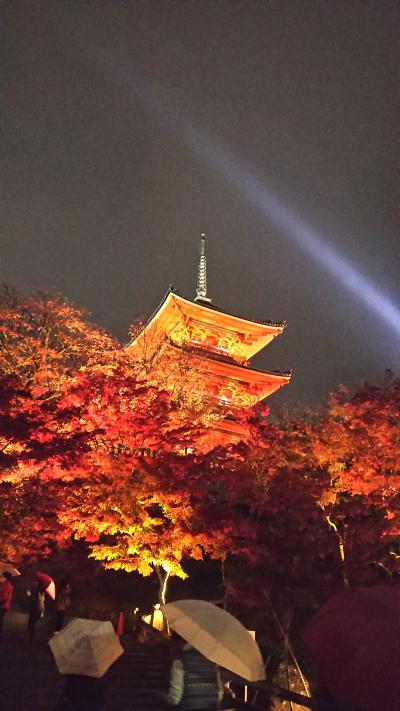秋の京都、雨と紅葉の京都 1