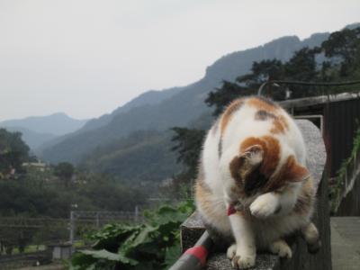 またまた台湾上陸！美味しかった旅　後半