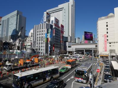 高級住宅地公園めぐり　奥渋谷を歩く