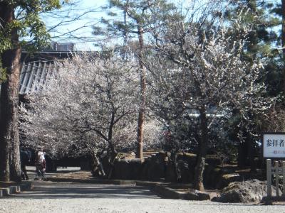 世田谷寺院巡り②