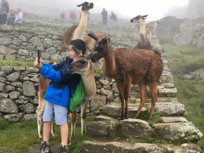 10歳の息子と行くペルー＆ボリビア旅行（ペルー編）