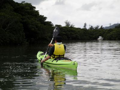 【2017年沖縄】オッサン達の修学旅行＠八重山2/3　オッサン、自然と戯れる編