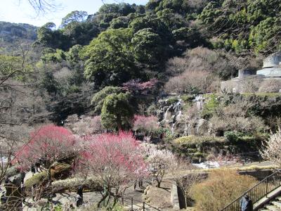 熱海梅園