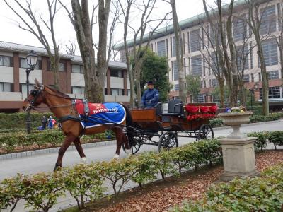 2017年2月　競馬場で遊ぶ