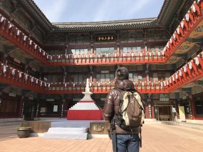 2017年2月釜山 1日目 ケミジプ~三光寺~新世界スパ~大邱マクチャン