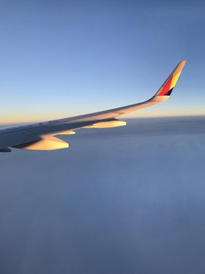 また来たソウル