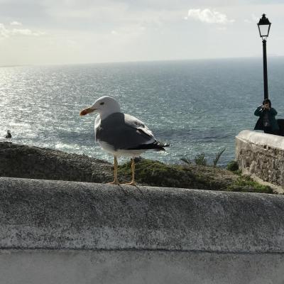 ポルトガルあちこち