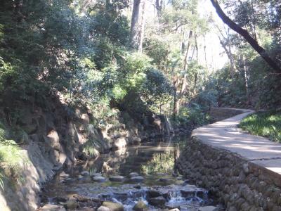 世田谷寺院巡り③