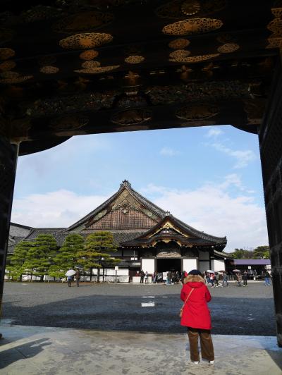 京都に行きたい！①二条城・六角堂・マリベル・本能寺・一保堂・八坂神社・アラビカで珈琲。