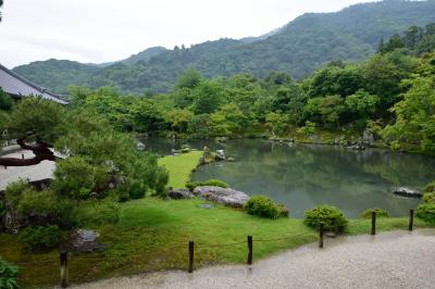 ２泊３日、大阪泊京都小旅行　その４　「雨の嵐山。天龍寺」