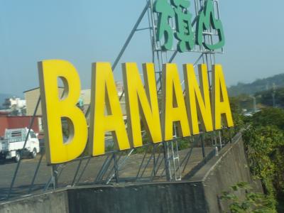 昔のバナナを求めて旗山へ