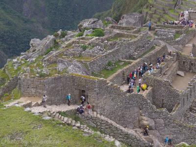 南米旅その８　マチュピチュ遺跡をじっくり観光　すごいぞ！インカ文明！！！