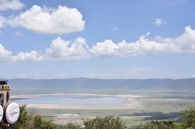 Dynamic TANZANIA！ 動物の赤ちゃんにたくさん会えたよ♪       ～Ngorongoro～