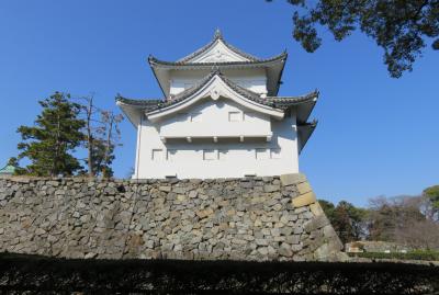 2017早春、梅の咲き始め名古屋城(2/8)：那古野城址(2)：二の丸庭園、東南隅櫓、天守閣