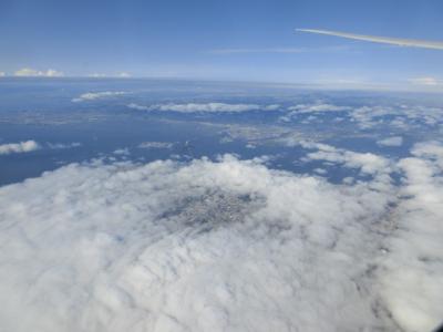 ナパとサンフランシスコ ワイン