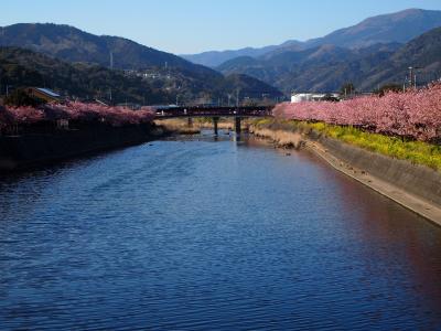 恒例の伊豆ドライブ旅行（下田・河津・稲取）