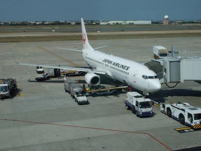 日本航空JL804・マレーシア航空MH9124共同運航便搭乗