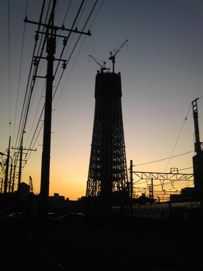 東京スカイツリーの今昔    色々、とりだめていたスカイツリー