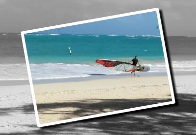 身内5人水入らずでハワイツアー④オプショナルツアーでハウツリーラナイとカイルアへ