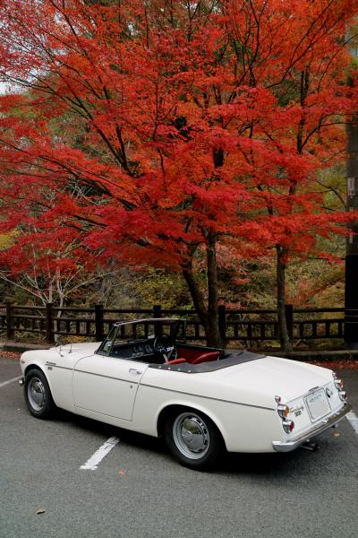 　紅葉の名所　帝釈峡・・・の駐車場？