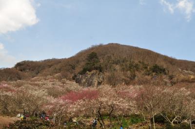 にわか山ガ～鎌倉幕府開運街道を行く！