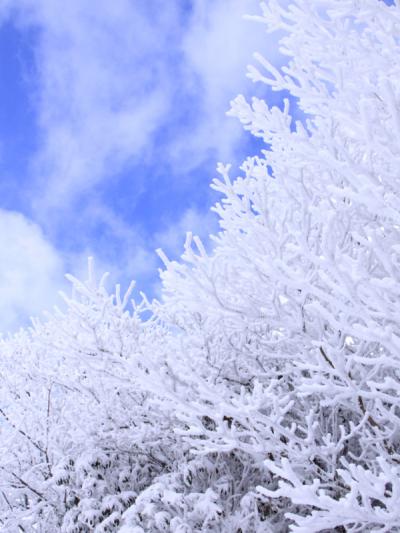 最強の寒波の中を九重町へ（２－２）　樹氷　編